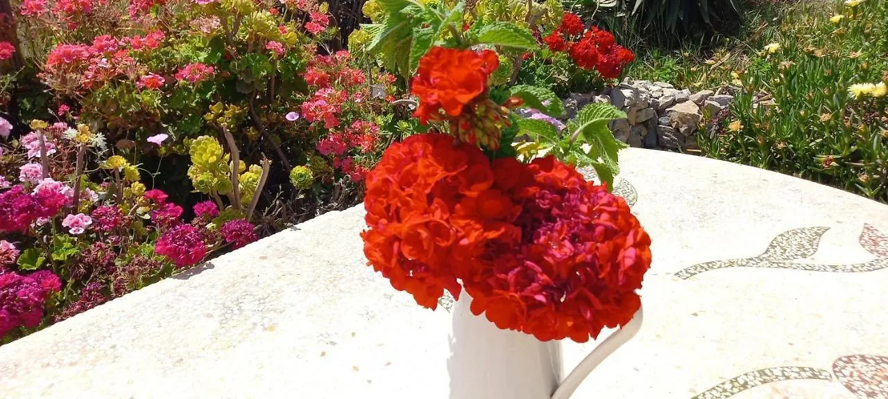 Finca Mariposa Mariposaholidays ネルハ スペイン