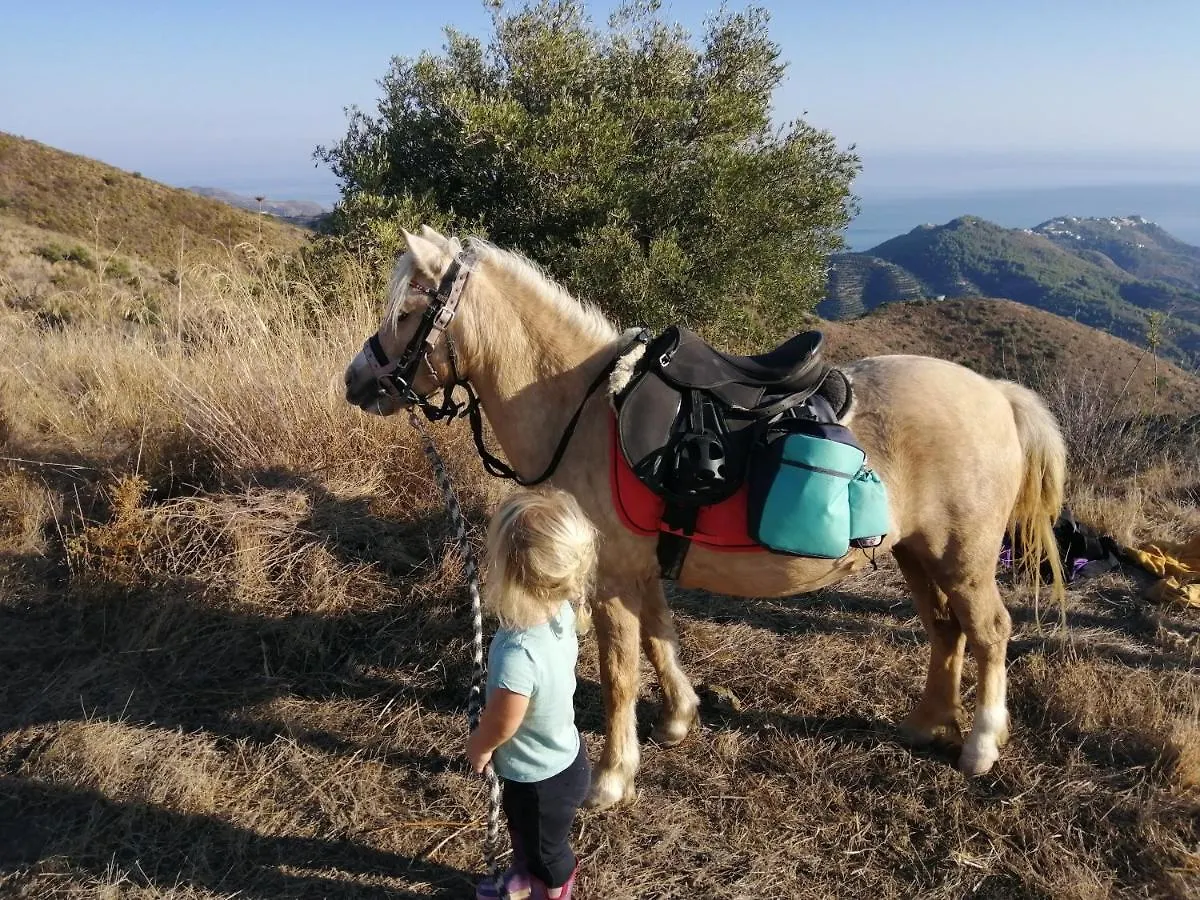 Finca Mariposa Mariposaholidays Nerja
