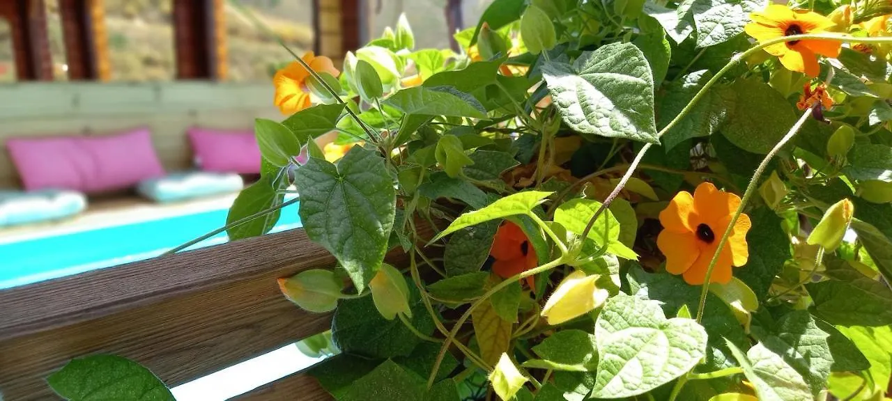Finca Mariposa Mariposaholidays 内尔哈 度假居