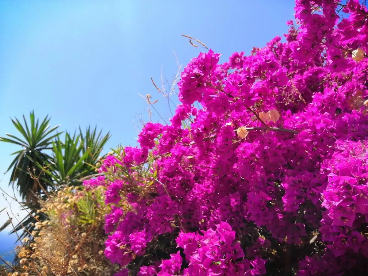 Finca Mariposa Mariposaholidays 内尔哈 西班牙